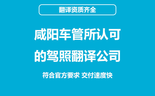  咸阳车管所认可的驾照翻译公司